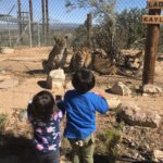 2018年10月19日セドナ～ヴェルデ～セドナ